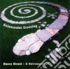 Salamander Crossing - Henry Street Best cd