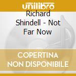 Richard Shindell - Not Far Now cd musicale di SHINDELL RICHARD
