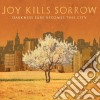 Joy Kills Sorrow - Darkness Sure Becomes.. cd