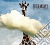 Peter Mulvey - Silver Ladder cd
