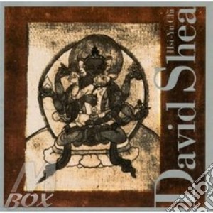 David Shea - Hsi-Yu Chi cd musicale di SHEA D./ZORN J./RIBO