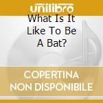 What Is It Like To Be A Bat? cd musicale di BRAZELTON/NAPHTALI