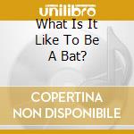 What Is It Like To Be A Bat? cd