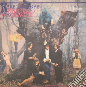 (LP Vinile) Kaleidoscope - Faintly Growing: Alternative Unreleased Album Mixes lp vinile di Kaleidoscope