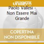 Paolo Vallesi - Non Essere Mai Grande cd musicale di VALLESI PAOLO