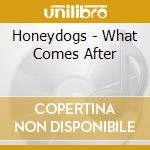 Honeydogs - What Comes After cd musicale di Honeydogs