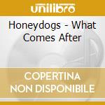 Honeydogs - What Comes After cd