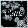 Cattle - Somehow Hear Songs cd