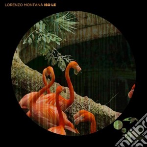 Lorenzo Montana - Iso Le cd musicale di Lorenzo Montana