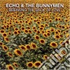 Echo & The Bunnymen - Breaking The Back Of Love cd