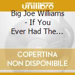 Big Joe Williams - If You Ever Had The Blues (Eco-Friendly Vinyl) cd