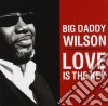 Big Daddy Wilson - Love Is The Key cd