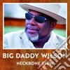 Big Daddy Wilson - Neckbone Stew cd