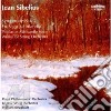 Jean Sibelius - Symphony No.2 And Other Orchestral Works (2 Cd) cd