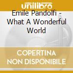 Emile Pandolfi - What A Wonderful World cd