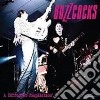 Buzzcocks - A Different Compilation cd