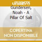 Gundersen, Noah - A Pillar Of Salt cd