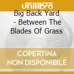 Big Back Yard - Between The Blades Of Grass cd musicale di Big Back Yard