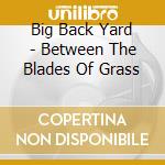 Big Back Yard - Between The Blades Of Grass cd