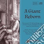 Brooks Gerard - Giant Reborn (A): The Restored 1753 Richard Bridge Organ