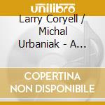 Larry Coryell / Michal Urbaniak - A Quiet Day In Spring