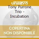 Tony Purrone Trio - Incubation cd
