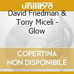 David Friedman & Tony Miceli - Glow cd