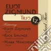 Eliot Zigmund Trio Ez - Standard Fare cd