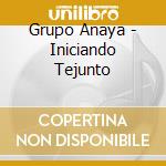 Grupo Anaya - Iniciando Tejunto cd