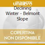 Declining Winter - Belmont Slope
