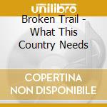 Broken Trail - What This Country Needs cd