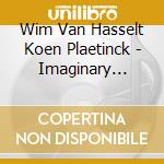 Wim Van Hasselt Koen Plaetinck - Imaginary Mirror cd