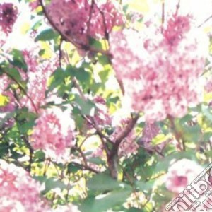(LP Vinile) Actual Water - Paisley Orchard lp vinile di Actual Water
