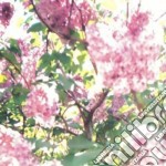 (LP Vinile) Actual Water - Paisley Orchard