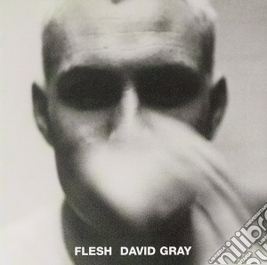 David Gray - Flesh cd musicale di GRAY DAVID