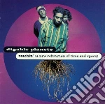 Digable Planets - Reaching New Reputation cd