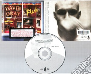 David Gray - Flesh cd musicale di David Gray