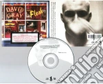 David Gray - Flesh cd