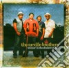 Neville Brothers (The) - Walkin' In The Shadow Of Life cd