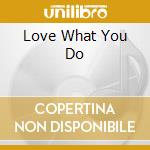 Love What You Do cd musicale di DIVINE COMEDY