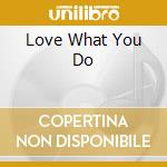 Love What You Do cd