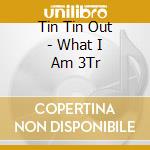 Tin Tin Out - What I Am 3Tr cd