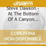 Steve Dawson - At The Bottom Of A Canyon In The Branches Of Tree cd musicale
