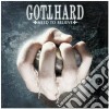 Gotthard - Need To Believe cd
