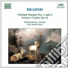 Johannes Brahms - Sonata X Clar N.1 Op.120, N.2 Op.120, Sonatensatz, Lieder Op.91 cd