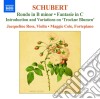 Franz Schubert - Complete Works for Violin and Fortepiano, Vol. 2 cd