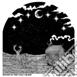 (LP Vinile) Kikagaku Moyo - House In The Tall Grass vinile