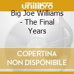 Big Joe Williams - The Final Years cd