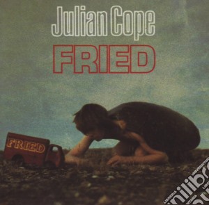 Julian Cope - Fried cd musicale di Julian Cope