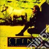Sting - Ten Summoner'S Tales (Jewel Box) cd